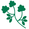 Logo Images
