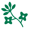 Logo Images