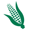 Logo Images