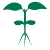 Logo Images