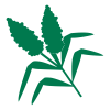 Logo Images