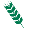 Logo Images